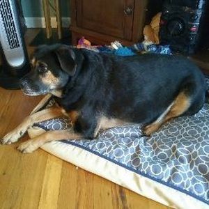 Meet your Posher, Travis